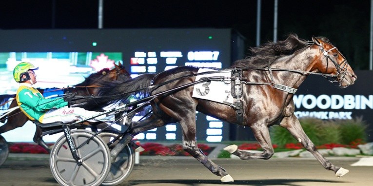 Back Of The Neck at full stride at Woodbine Mohawk Park