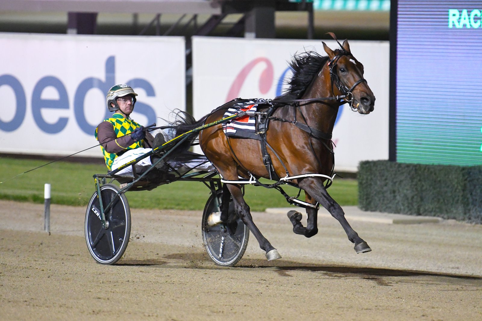 Captains Knock at full stride, Brad Hewitt driving