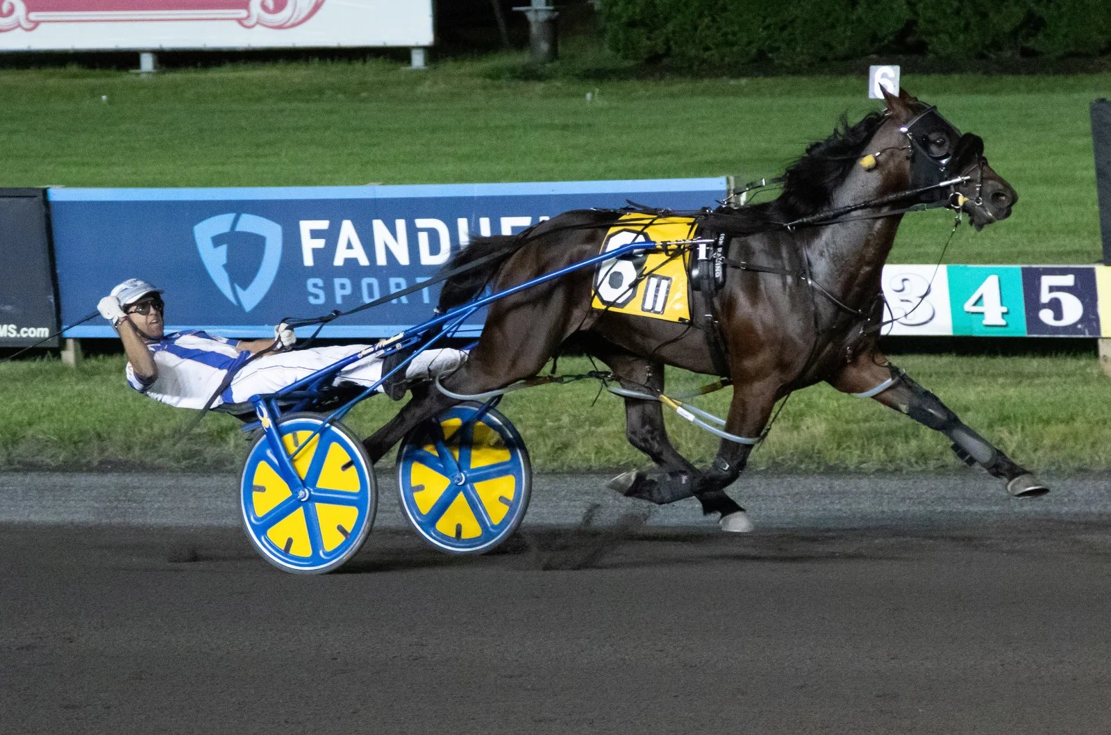 Legendary Hanover at full stride under the lights